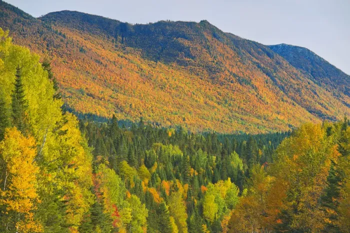 Framed Print : Canada, Quebec, Parc National de la Gaspesie. Autumn colors in Chic-Choc Mountains