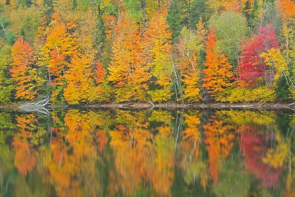 Canada, Quebec, Saint-Mathieu-du-Parc. Autumn colors reflected in Lac Trudel
