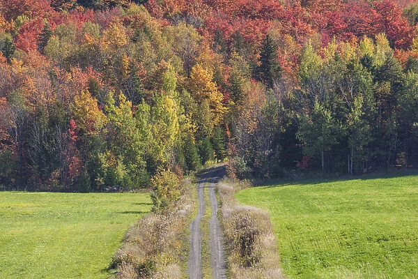Canada, Quebec, Sainte-Famille. Country road