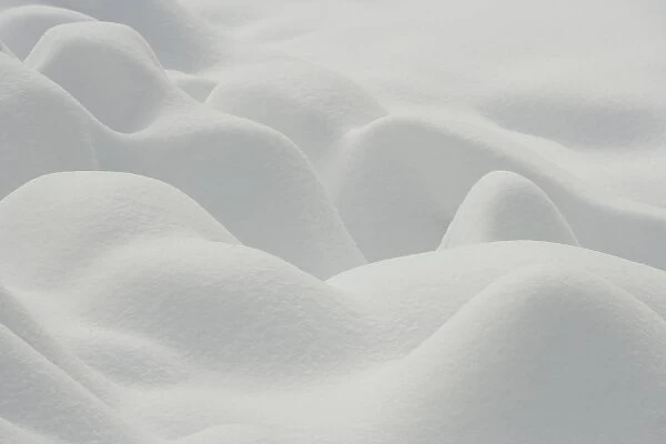Canada, Quebec. Shapes formed in fresh snow