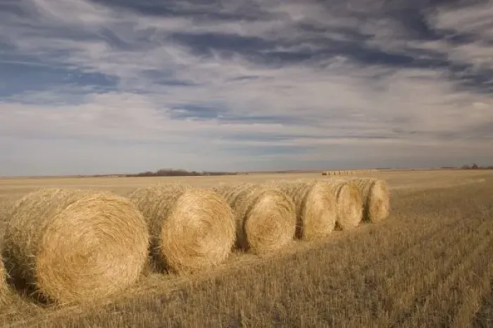 Framed Print : Canada, Saskatchewan