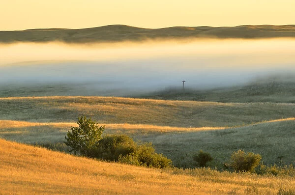 Canada, Saskatchewan, Beechy. Fog over prairie at sunrise