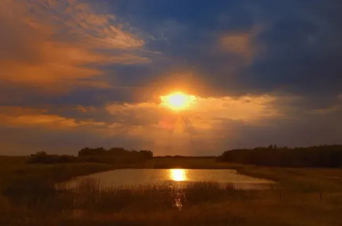 Framed Print : Canada, Saskatchewan, Dubuc. Sunset over pond