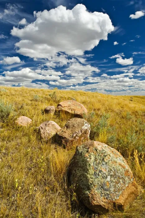 Framed Print : Canada, Saskatchewan, Grasslands National Park Framed Print : Canada, Saskatchewan, Grasslands National Park