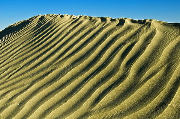 Canada, Saskatchewan, Great Sand Hills. Pattern in sand dunes