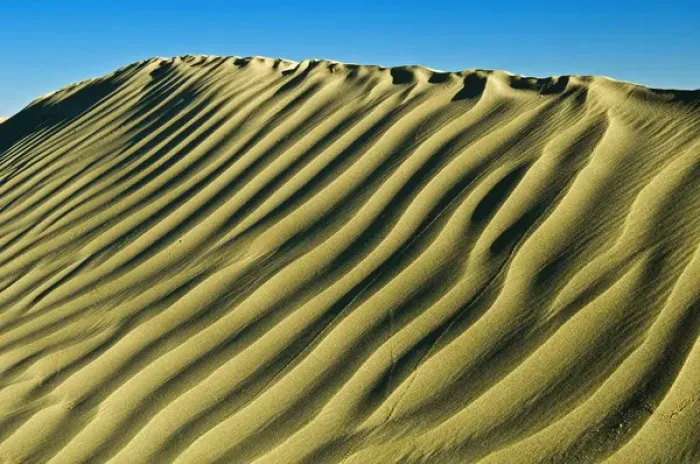 Framed Print : Canada, Saskatchewan, Great Sand Hills. Pattern in sand dunes Framed Print : Canada, Saskatchewan, Great Sand Hills. Pattern in sand dunes