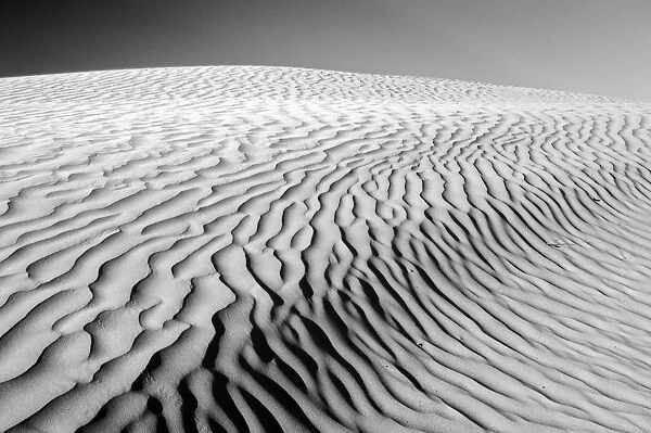 Canada, Saskatchewan, Great Sand Hills. Sand dune patterns