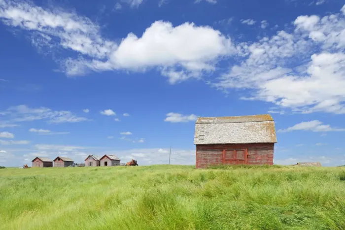 Framed Print : Canada, Saskatchewan, Hazenmore. Wooden granaries Framed Print : Canada, Saskatchewan, Hazenmore. Wooden granaries