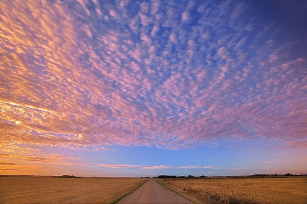 Canada, Saskatchewan, Lepine. Clouds over prairie road at sunrise