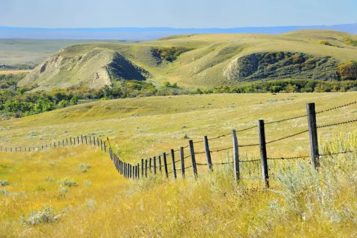 Framed Print : Canada, Saskatchewan, Maple Creek. Fence and prairie landscape