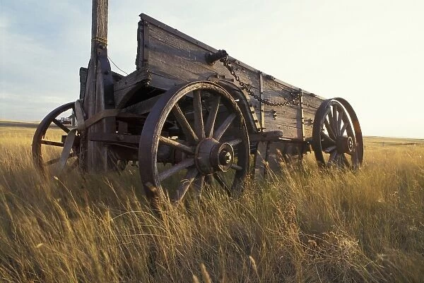 Canada, Saskatchewan. An old horse-drawn cart in a field near Maple Creek