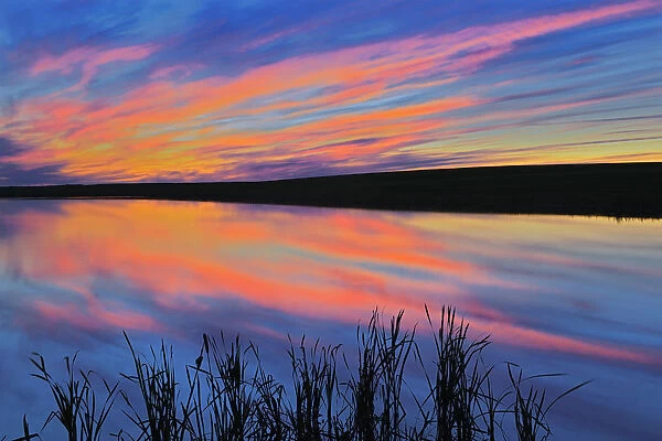 Canada, Saskatchewan, Viscount. Sunset reflected in pond