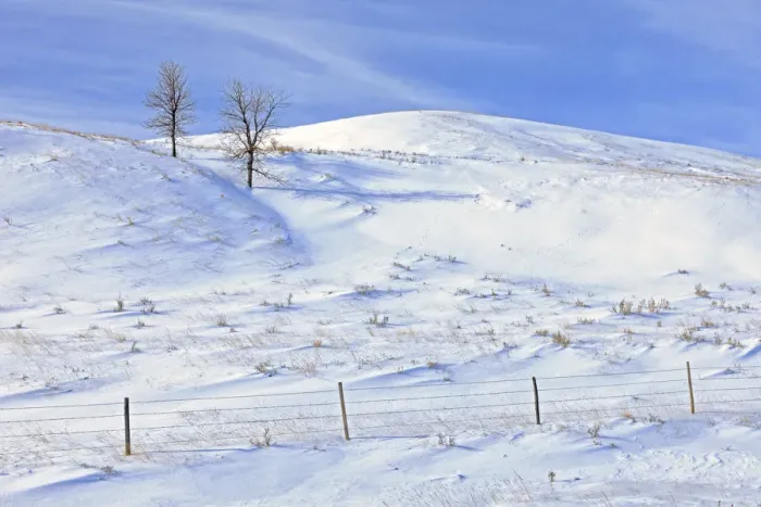 Framed Print : Canada, Saskatchewan, Willow Bunch. Snow-covered landscape