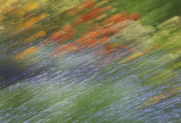 Canada, Shampers Bluff. Abstract blur of garden colors