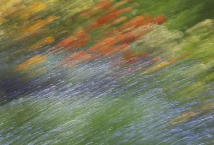 Framed Print : Canada, Shampers Bluff. Abstract blur of garden colors Framed Print : Canada, Shampers Bluff. Abstract blur of garden colors