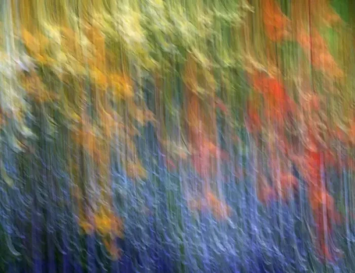 Framed Print : Canada, Shampers Bluff. Abstract blur of garden colors