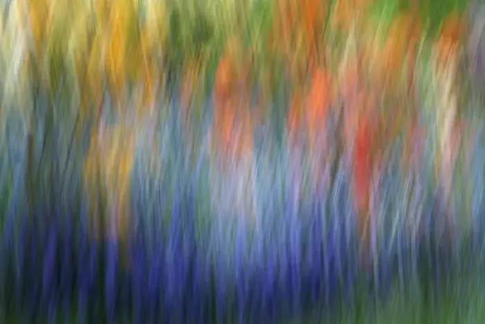 Framed Print : Canada, Shampers Bluff. Abstract blur of garden colors Framed Print : Canada, Shampers Bluff. Abstract blur of garden colors