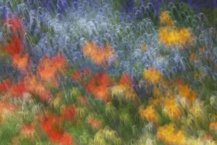Framed Print : Canada, Shampers Bluff. Abstract blur of garden colors Framed Print : Canada, Shampers Bluff. Abstract blur of garden colors