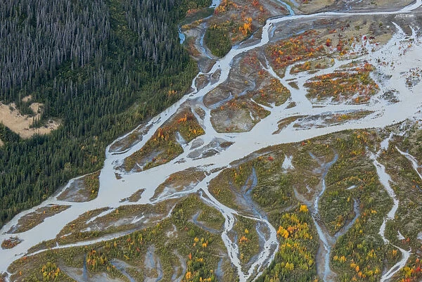 Canada, Yukon, Kluane National Park, aerial of braided river and fall color