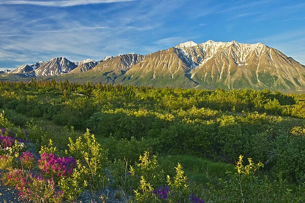 Canada, Yukon. St. Elias Mountains and forested valley