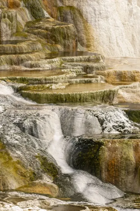 Framed Print : Canary Spring terraces at sunrise, Mammoth Hot Springs, Yellowstone National Park, Wyoming Framed Print : Canary Spring terraces at sunrise, Mammoth Hot Springs, Yellowstone National Park, Wyoming