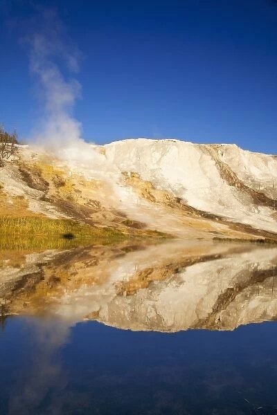 Canary Springs Terrace reflects in small pond at the Mammoth Hot Springs area in