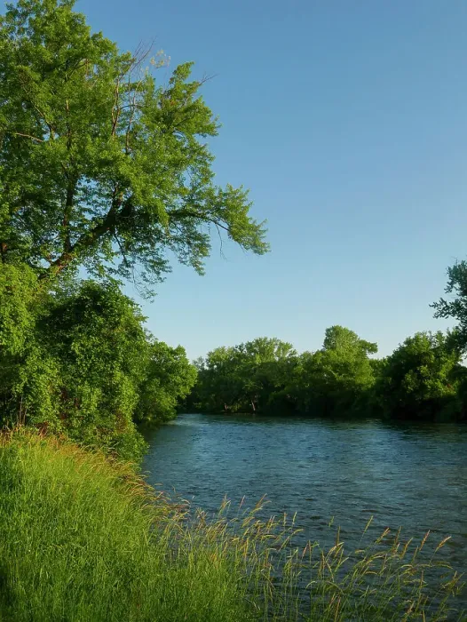 Framed Print : Cannon River and trees, early morning, Cannon Falls, Minnesota, Riverside Park, summer Framed Print : Cannon River and trees, early morning, Cannon Falls, Minnesota, Riverside Park, summer