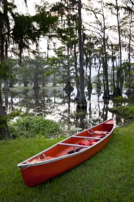 Framed Print : Canoe by Caddo Lake, Texass largest natural lake Framed Print : Canoe by Caddo Lake, Texass largest natural lake