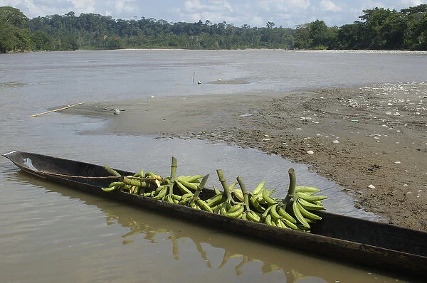 Canoe on Misahualli River which runs into the Napo River Amazon Rain Forest. ECUADOR