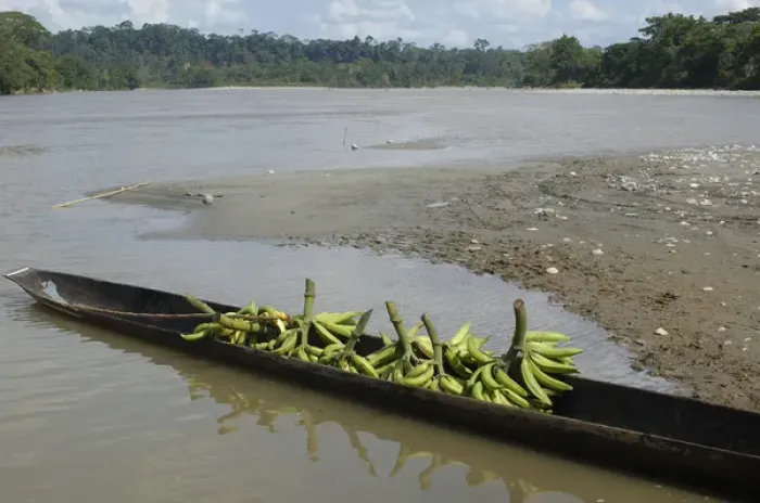 Framed Print : Canoe on Misahualli River which runs into the Napo River Amazon Rain Forest. ECUADOR
