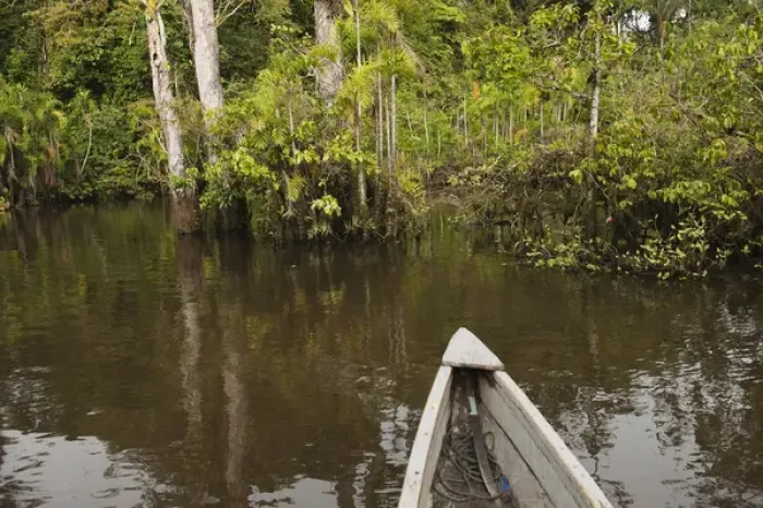 Framed Print : Canoe moving through flooded Igapo forest. Cocaya River. Eastern Amazon Rain Forest