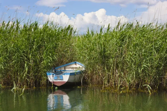 Framed Print : Canoe and reeds on Lake Ohrid, Republic of Macedonia Framed Print : Canoe and reeds on Lake Ohrid, Republic of Macedonia