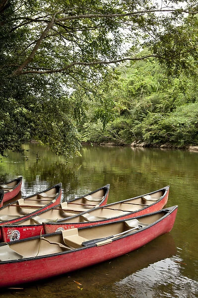 Canoeing the Macal River in jungle area of Central America, Belize