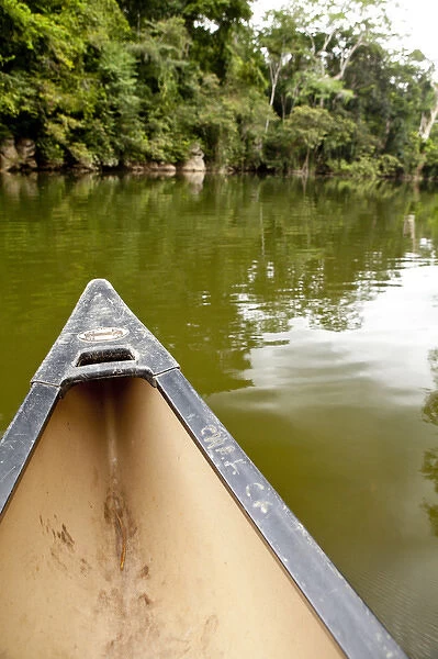 Canoeing the Macal River in jungle of Central America, Belize