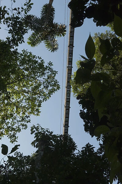 Canopy Walkway at Sacha Lodge. 275m long, 36m high rigid walkway