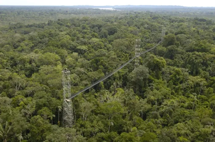 Framed Print : Canopy Walkway. Sacha Lodge on Pilche Cocha (lake). off Napo River, bordering Yasuni
