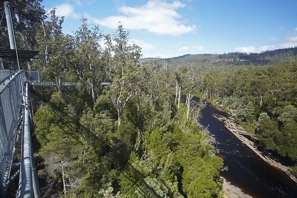 Cantilever, Tahune AirWalk, 48 metres above Huon River and Forest, Tahune Forest Reserve