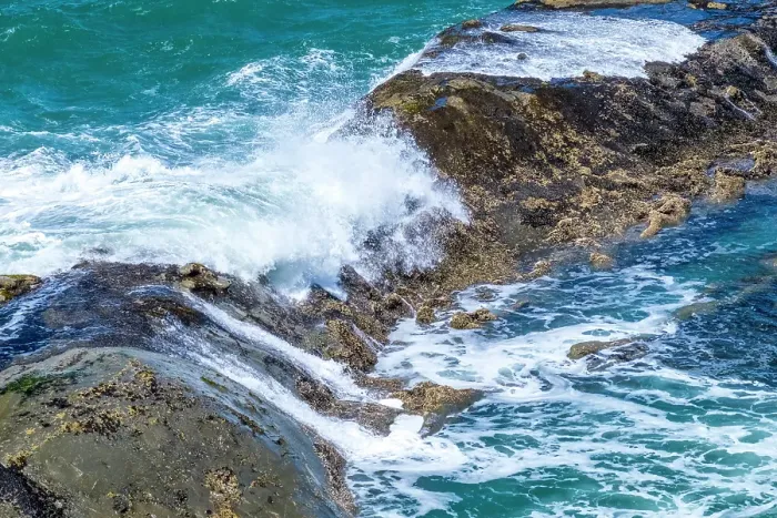 Framed Print : Cape Arago State Park, Coos County, Oregon, USA. Pacific Ocean wave breaking on rocks Framed Print : Cape Arago State Park, Coos County, Oregon, USA. Pacific Ocean wave breaking on rocks