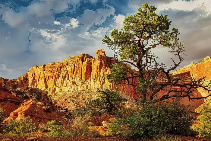Framed Print : Capitol Reef National Park Framed Print : Capitol Reef National Park