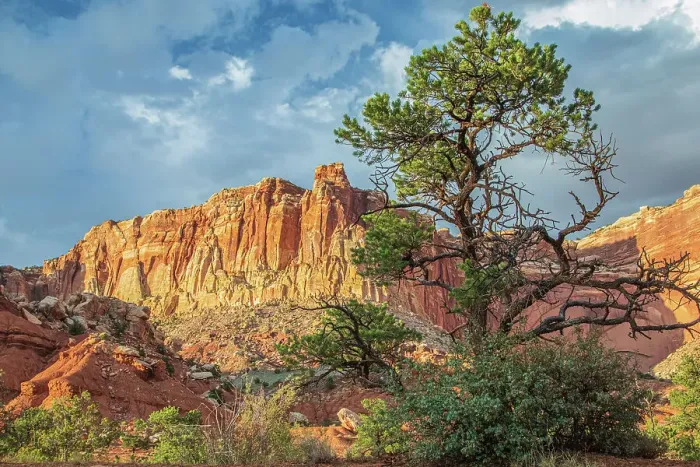 Framed Print : Capitol Reef National Park Framed Print : Capitol Reef National Park