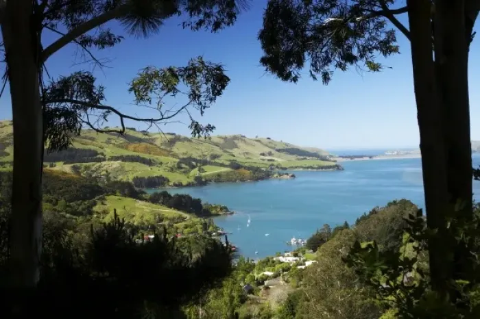 Framed Print : Careys Bay, Otago Harbour, Dunedin, South Island, New Zealand