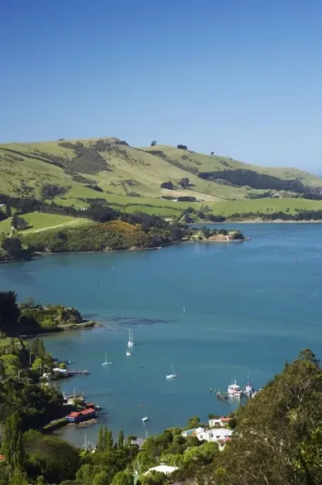 Framed Print : Careys Bay, Otago Harbour, Dunedin, South Island, New Zealand