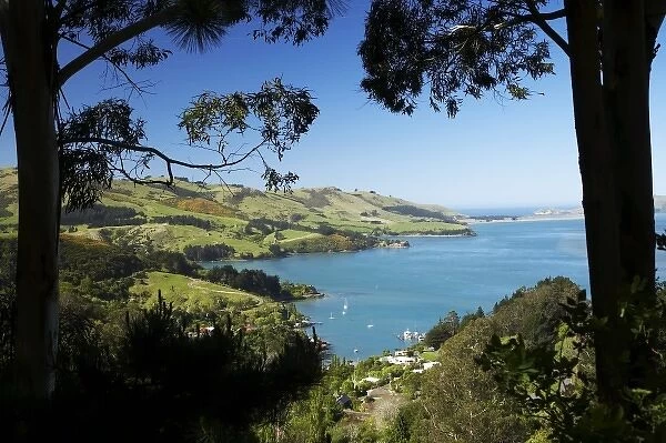 Careys Bay, Otago Harbour, Dunedin, South Island, New Zealand