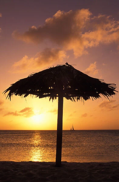 Caribbean, Aruba, Arashi beach at sunset