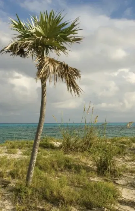 Framed Print : Caribbean, Bahamas