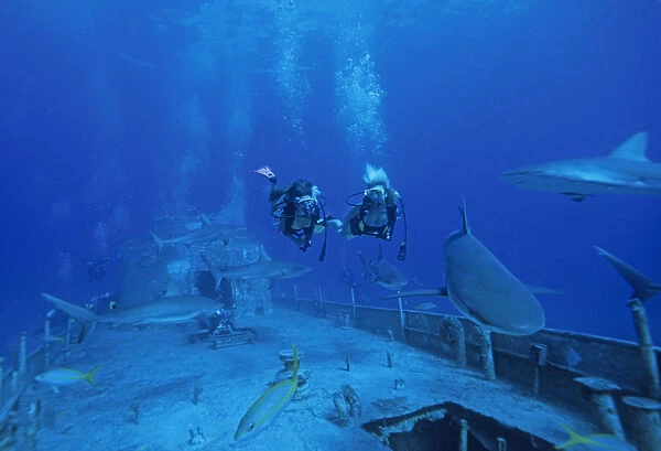 01. Caribbean, Bahamas, Divers explore shipwreck