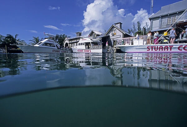 01. Caribbean, Bahamas. Dock at Stuart Cove s