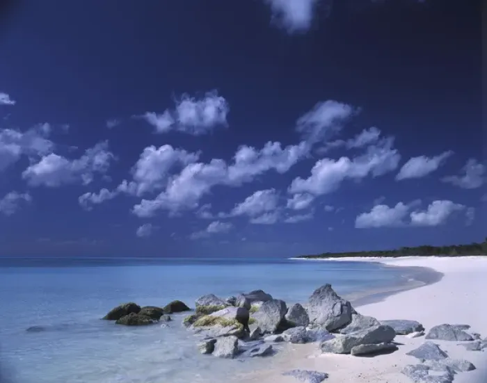 Framed Print : Caribbean, Bahamas Pristine beach Framed Print : Caribbean, Bahamas Pristine beach