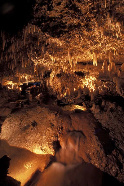 Caribbean, Barbados. Harrison Caves