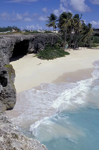Caribbean, Barbados, St. Phillip Parish, Bottom Bay Palm Tree lined beach